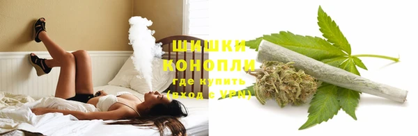 твердый Нягань