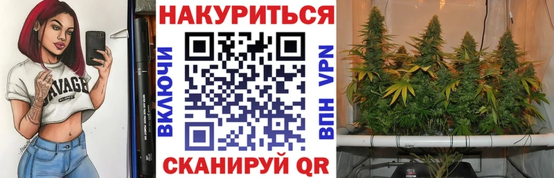 Шишки марихуана Bruce Banner Отрадная